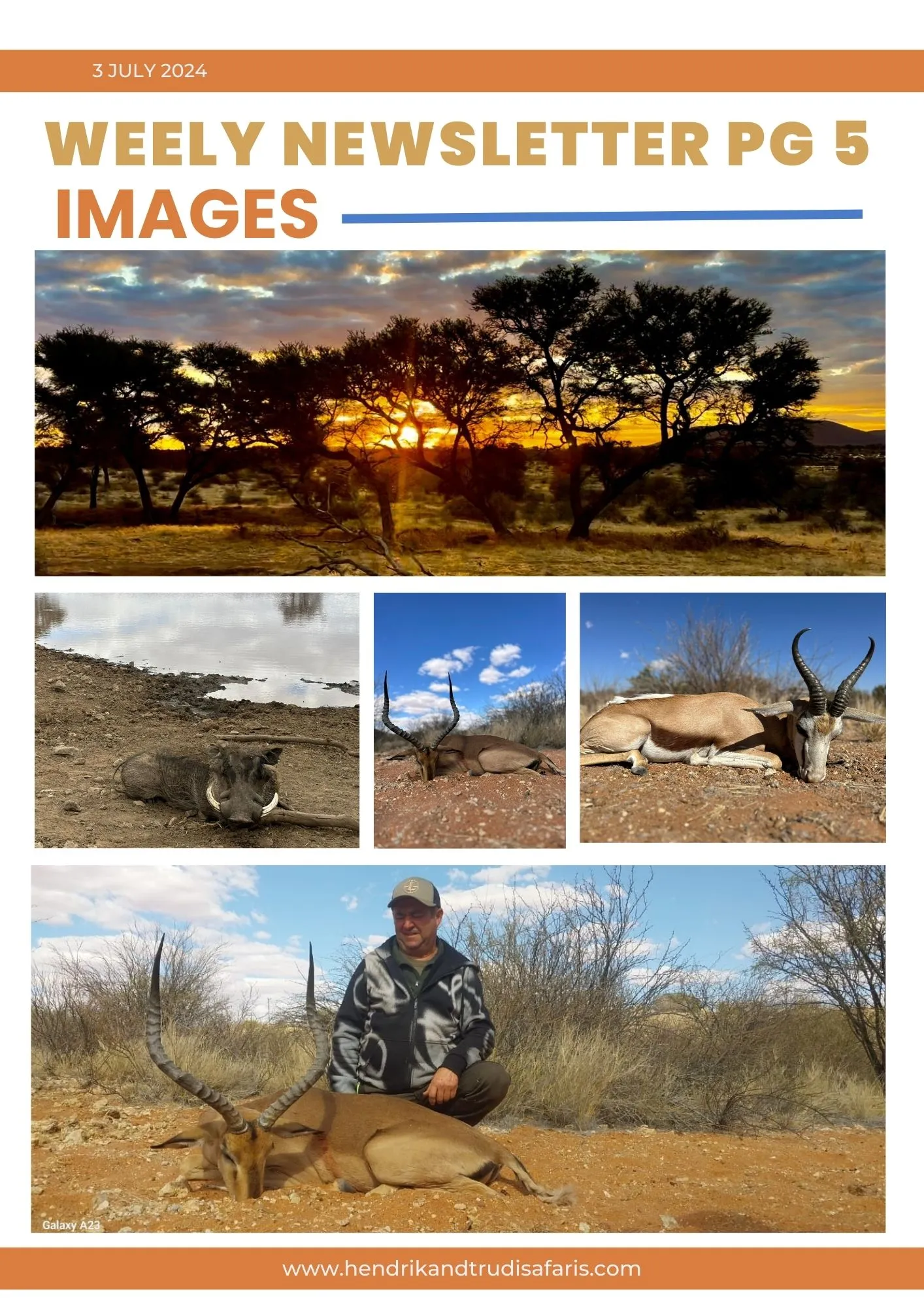 Newsletter 3 July pg 5 (English)