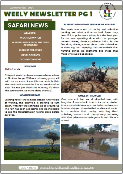 Newsletter (English) - 2024-11-15