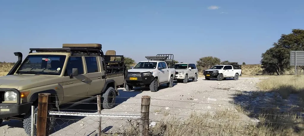 Safari vehicles ready to move out.