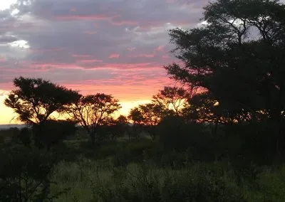 Hendrik-and-Trudi-Safaris-and-Tours-Gallery-001