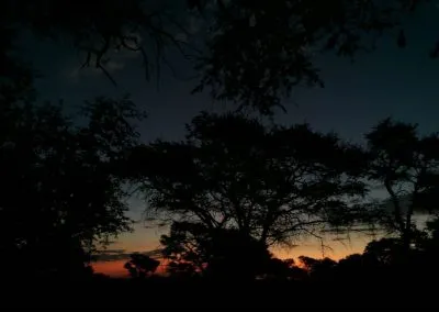 Hendrik-and-Trudi-Safaris-and-Tours-Gallery-004