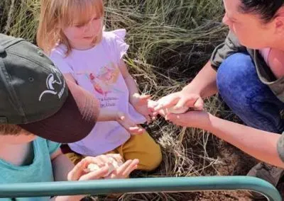 Hendrik & Trudi Safaris