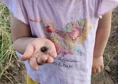 Hendrik & Trudi Safaris