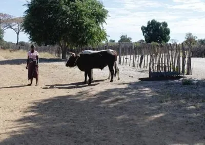 Hendrik & Trudi Safaris