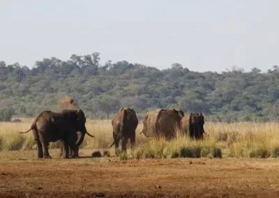 Hendrik & Trudi Safaris