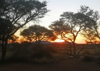 Hendrik-and-Trudi-Safaris-Sunset-with-Trees
