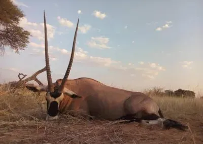 Hendrik-and-Trudi-Safaris