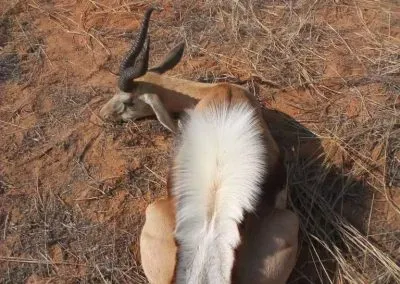 Hendrik-and-Trudi-Safaris
