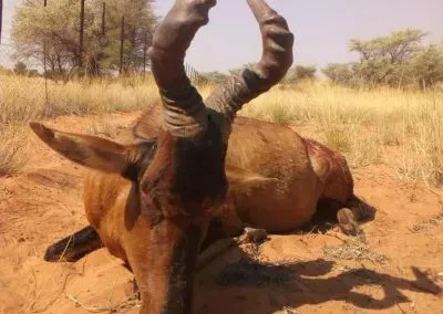 Hendrik-and-Trudi-Safaris