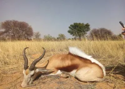 Hendrik-and-Trudi-Safaris