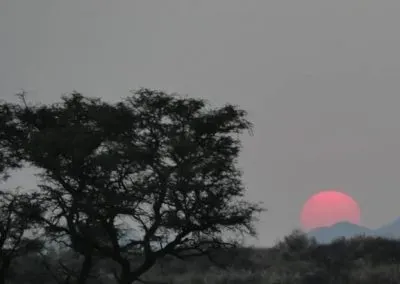 Hendrik and Trudi Safaris sunset