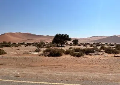 Photograph of scenery.