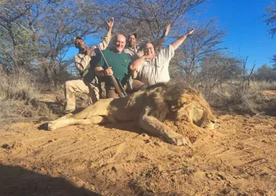 Lion hunt in South Africa